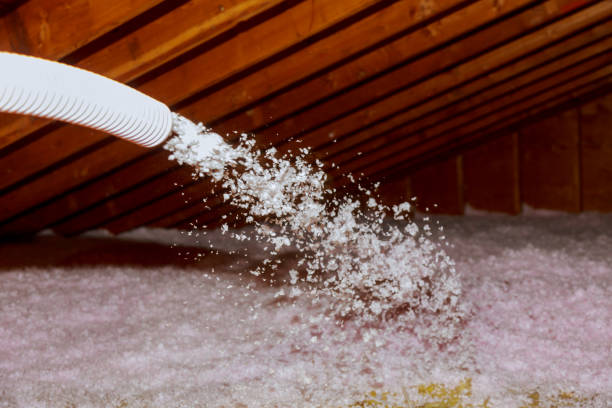Best Fiberglass Insulation  in Knox, IN