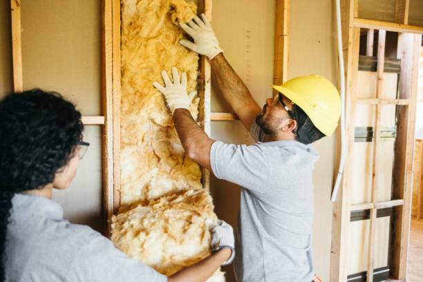 Best Insulation Installation Cost  in Knox, IN